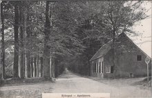 APELDOORN - Echoput