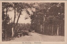 OISTERWIJK - de Heisteeg