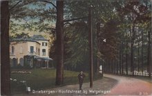 DRIEBERGEN - Hoofdstraat bij Welgelegen