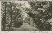 NUNSPEET - Mooie Laan in het Zandenbosch