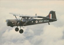 AUSTER--AOP-9-XR244