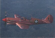 P40 WARHAWK