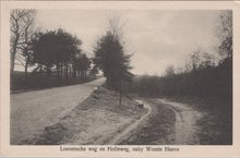 APELDOORN - Loenensche weg en Holleweg, naby Woeste Hoeve