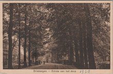 DRIEBERGEN - Entrée van het dorp