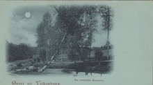 VALKENBURG - De verliefde Boomen