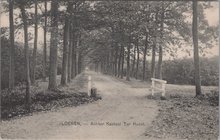 LOENEN - Achter Kasteel Ter Horst