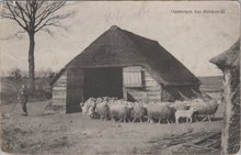 HARDERWIJK - Schaapskooi, omstreken van Harderwijk