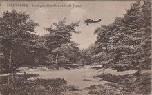 SOESTERBERG - Boschgezicht achter de Oude Tempel