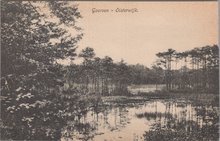 OISTERWIJK - Goorven