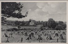 APELDOORN - Panorama Hoog-Soeren