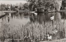 HOOGEZAND - Oosterpark