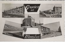 MAASSLUIS - Meerluik Groeten uit Maassluis