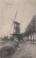 MAASSLUIS - Molen Zuiddijk