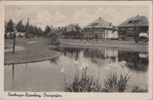 DRIEBERGEN - RIJSSENBURG - Oranjevijver