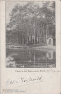 DRIEBERGEN - Vijver in het Driebergsche Bosch