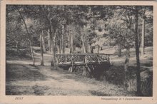 ZEIST - Knuppelbrug in 't Zeisterbosch