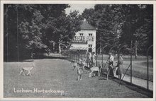 LOCHEM - Hertenkamp