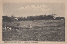 OOSTVOORNE AAN ZEE - Koepel en Zonnevanck