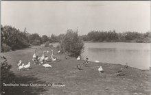 ROCKANJE - OOSTVOORNE - Tenellaplas tussen Oostvoorne en Rockanje