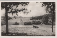 DE STEEG - Landschap