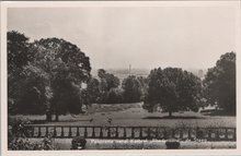 DE STEEG - Panorama vanaf Kasteel Rhederoord