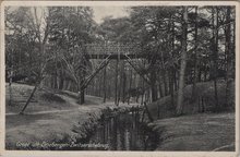 DRIEBERGEN - Zwitserschebrug