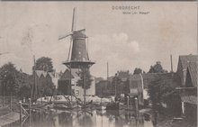 DORDRECHT - Molen de Maagd