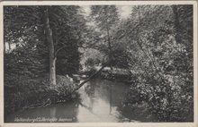 VALKENBURG - Verliefde boomen