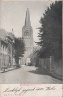 DOESBURG - Veerpoortstraat