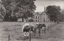 JOPPE - GORSSEL - Kasteel Joppe