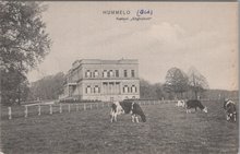 HUMMELO - Kasteel Enghuizen