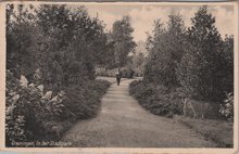 GRONINGEN - In het Stadspark