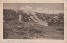 SCHEVENINGEN - Onze duinen