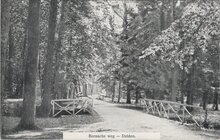 DELDEN - Bornsche weg