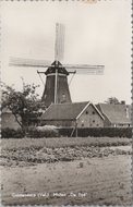 OOSTENDORP (Vel.) - Molen De Tijd