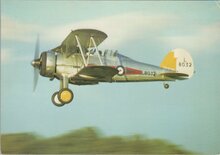 GLOSTER Gladiator