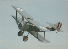 SOPWITH PUP