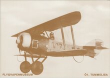 FLYGVAPENMUSEUM-Ö1-Tummelisa