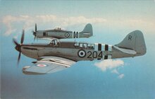 SEA FURY and Firefly