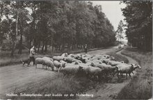 HOLTEN - Schaapherder met kudde op de Holterberg