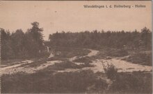 HOLTEN - Wandelingen i. d. Holterberg