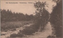 HOLTEN - Het Berkenlaantje - Holterberg