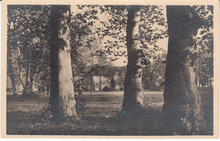 GERMANY Plon - Im Schloßgarten, unmailed Vintage Postcard