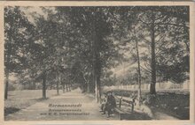 ROMANIA Hermannstadt - Erlenpromenade mit K. K. Garnisonsspital, mailed circa 1900-1920 Vintage Postcard