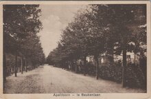 APELDOORN - 1e Beukenlaan