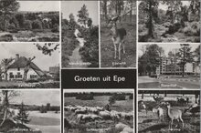 EPE - Meerluik Groeten uit Epe