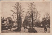 APELDOORN - Loolaan