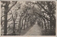 BAARN - Berceau in het Bosch