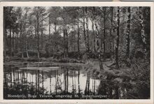 HOENDERLO - Hoge Veluwe, omgeving St. Hubertusvijver