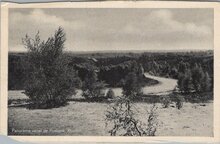 RHEDEN - Panorama vanaf de Posbank